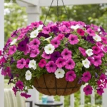 10 Summer Flowers to Brighten Your Yard Ideas